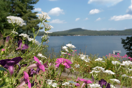 A picture of a lake in the summer time with flowers in the foreground